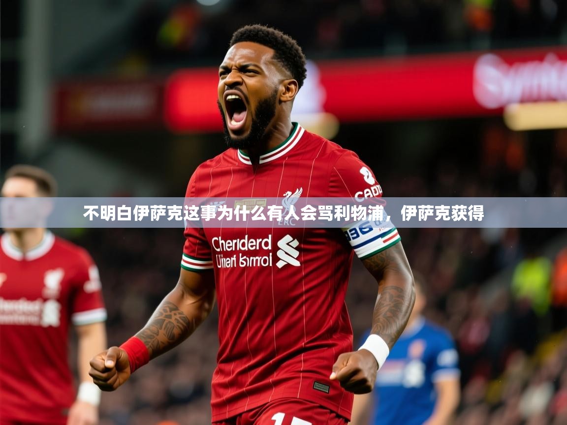 2025火狐体育官网不明白伊萨克这事为什么有人会骂利物浦，伊萨克获得  第2张