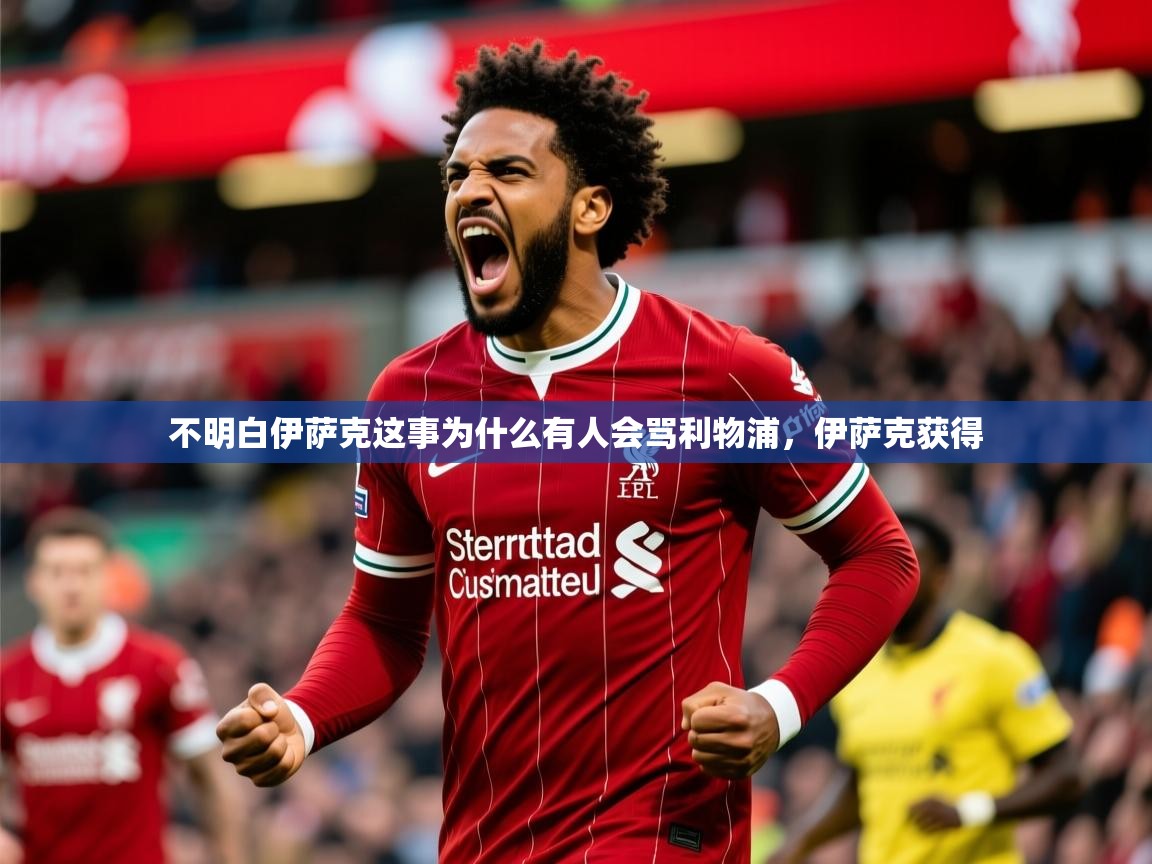 2025火狐体育官网不明白伊萨克这事为什么有人会骂利物浦，伊萨克获得  第3张