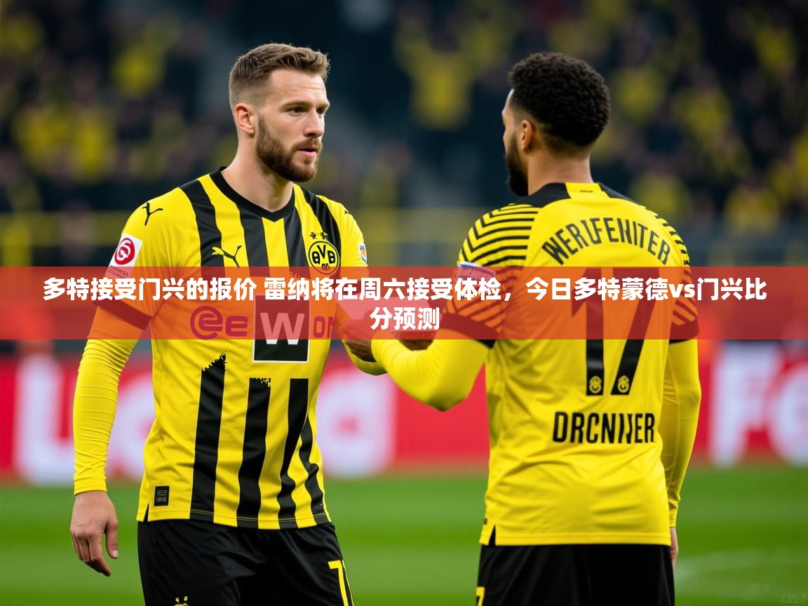 2025火狐体育网页版多特接受门兴的报价 雷纳将在周六接受体检，今日多特蒙德vs门兴比分预测  第3张